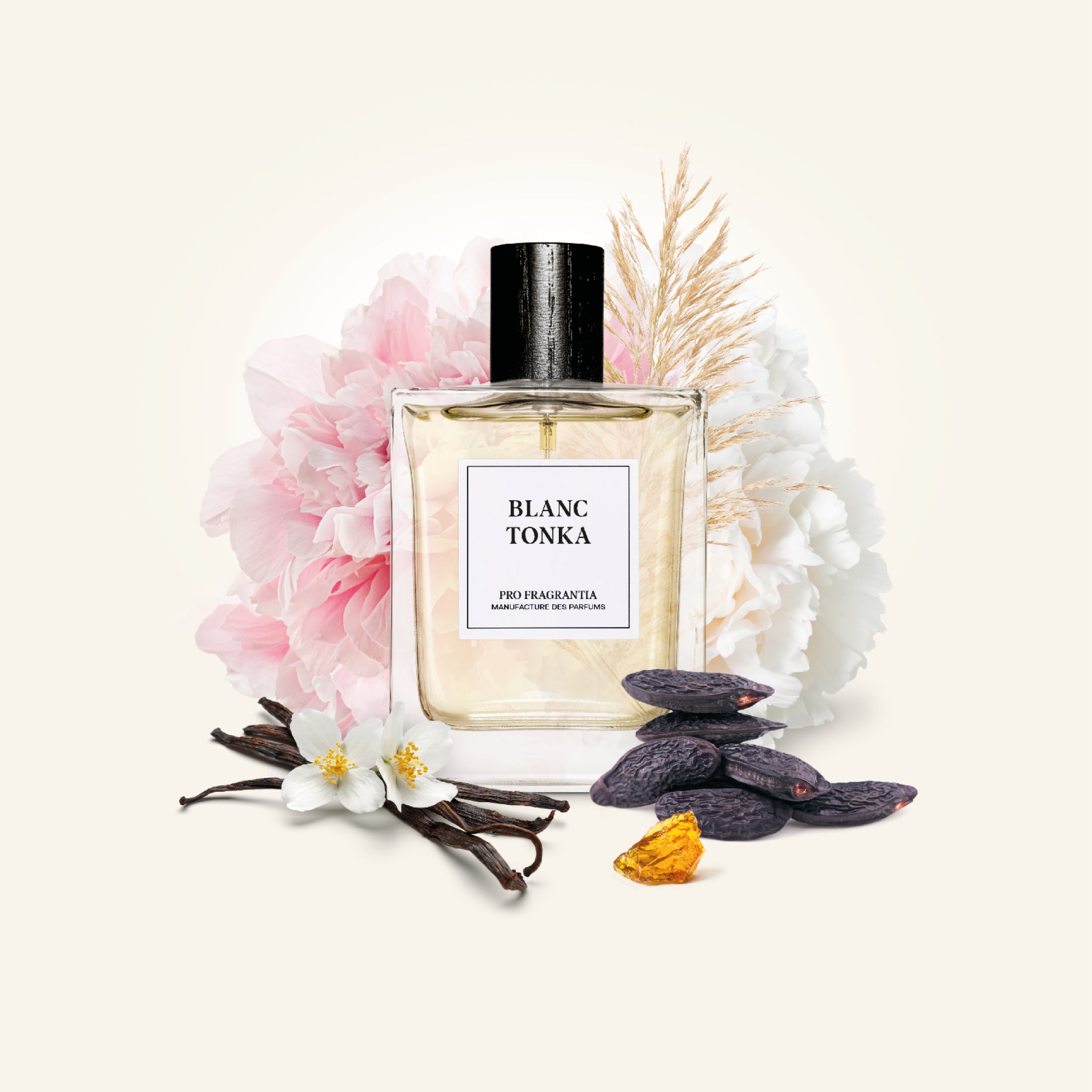 BLANC TONKA