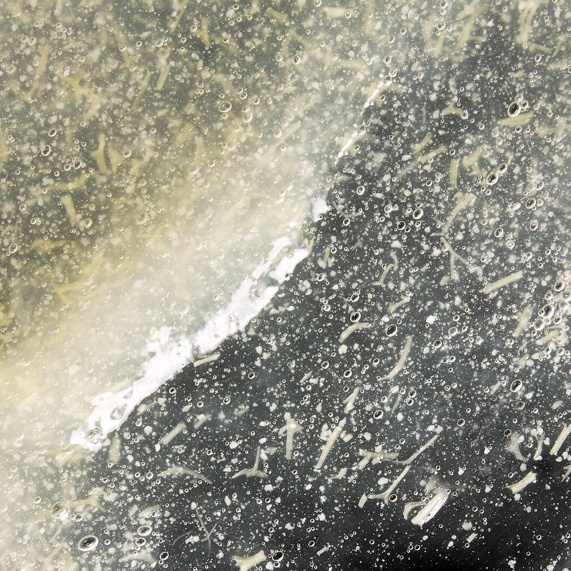 GENTLE BUFFING GELEE
