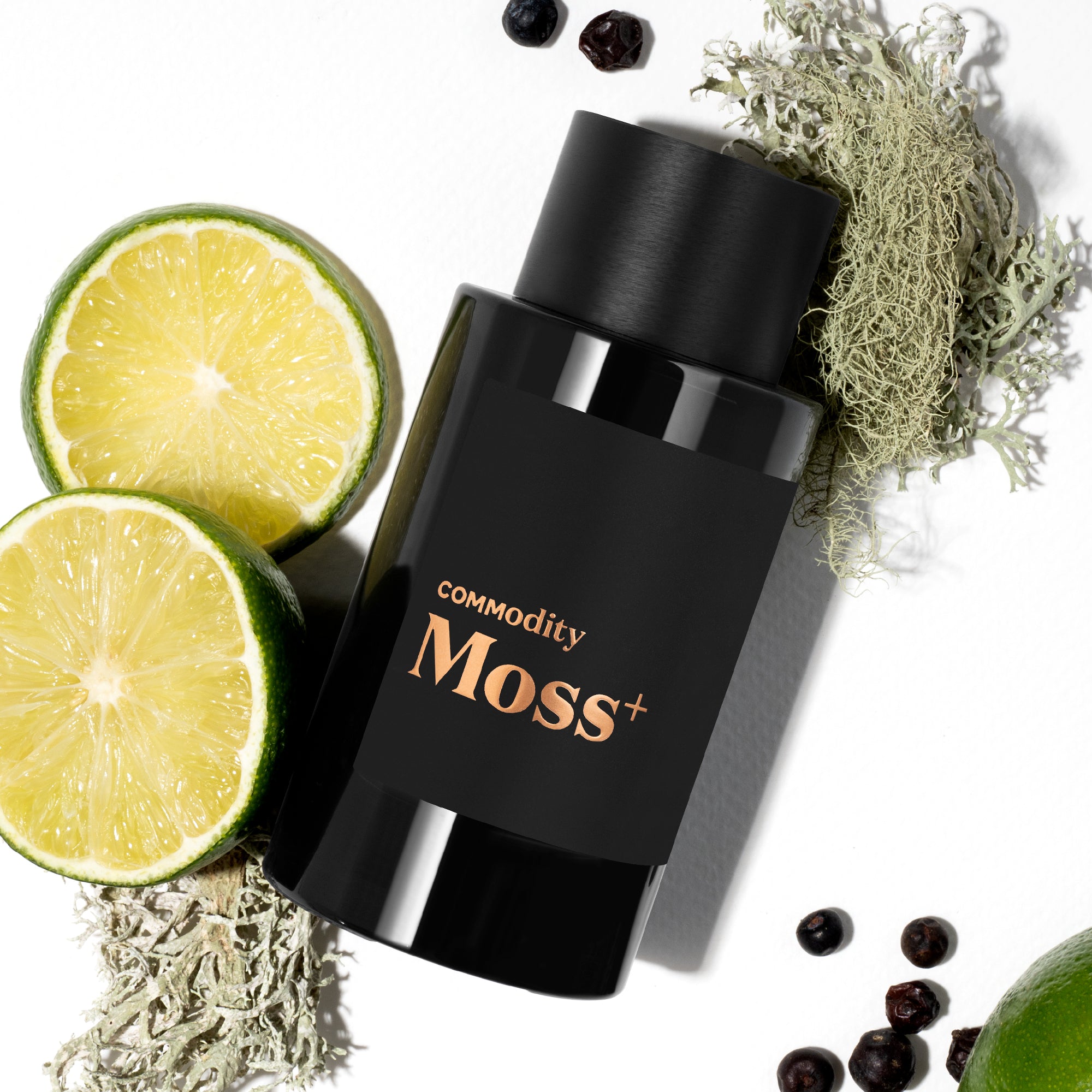 MOSS+