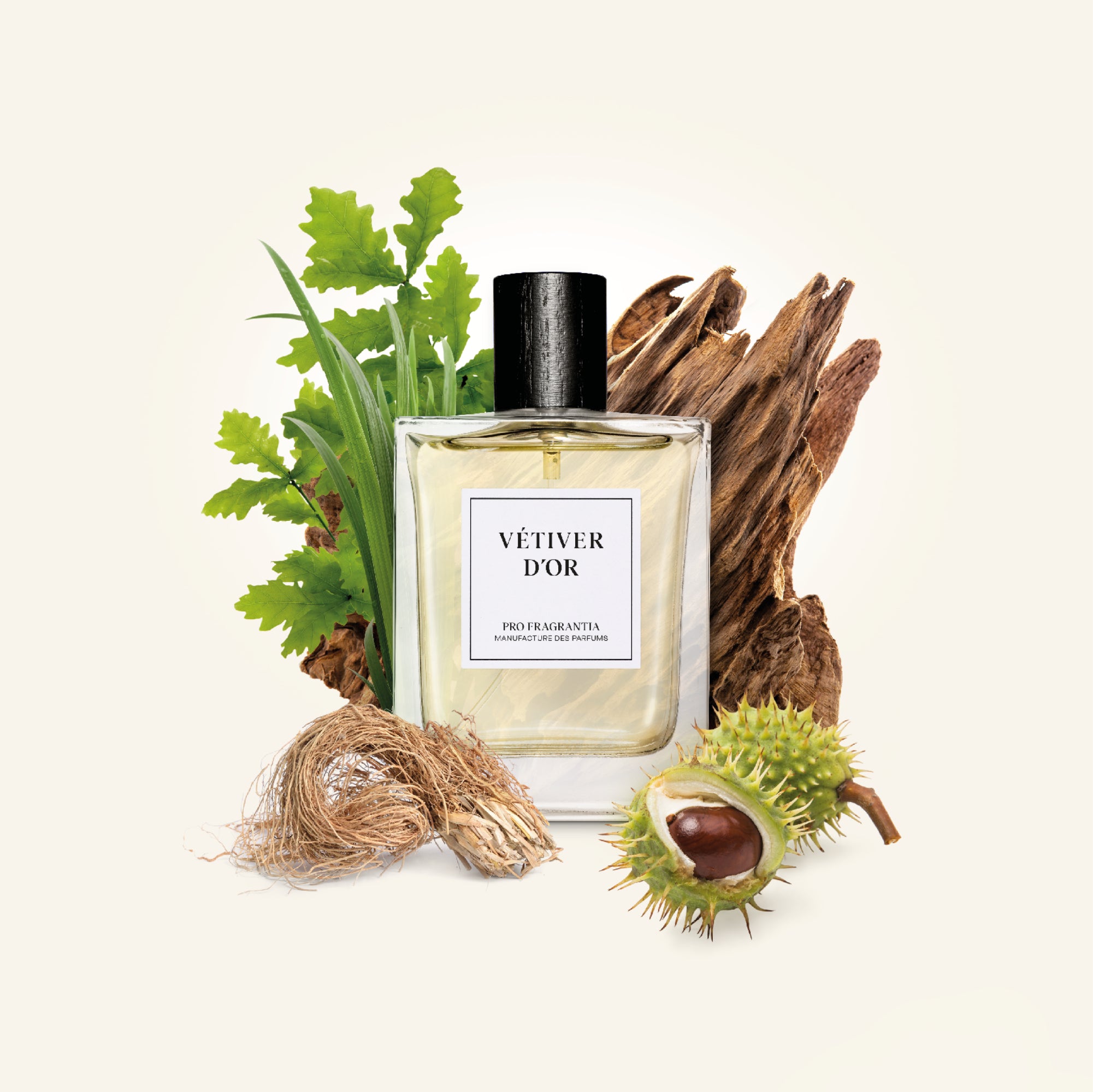 VÉTIVER D´OR