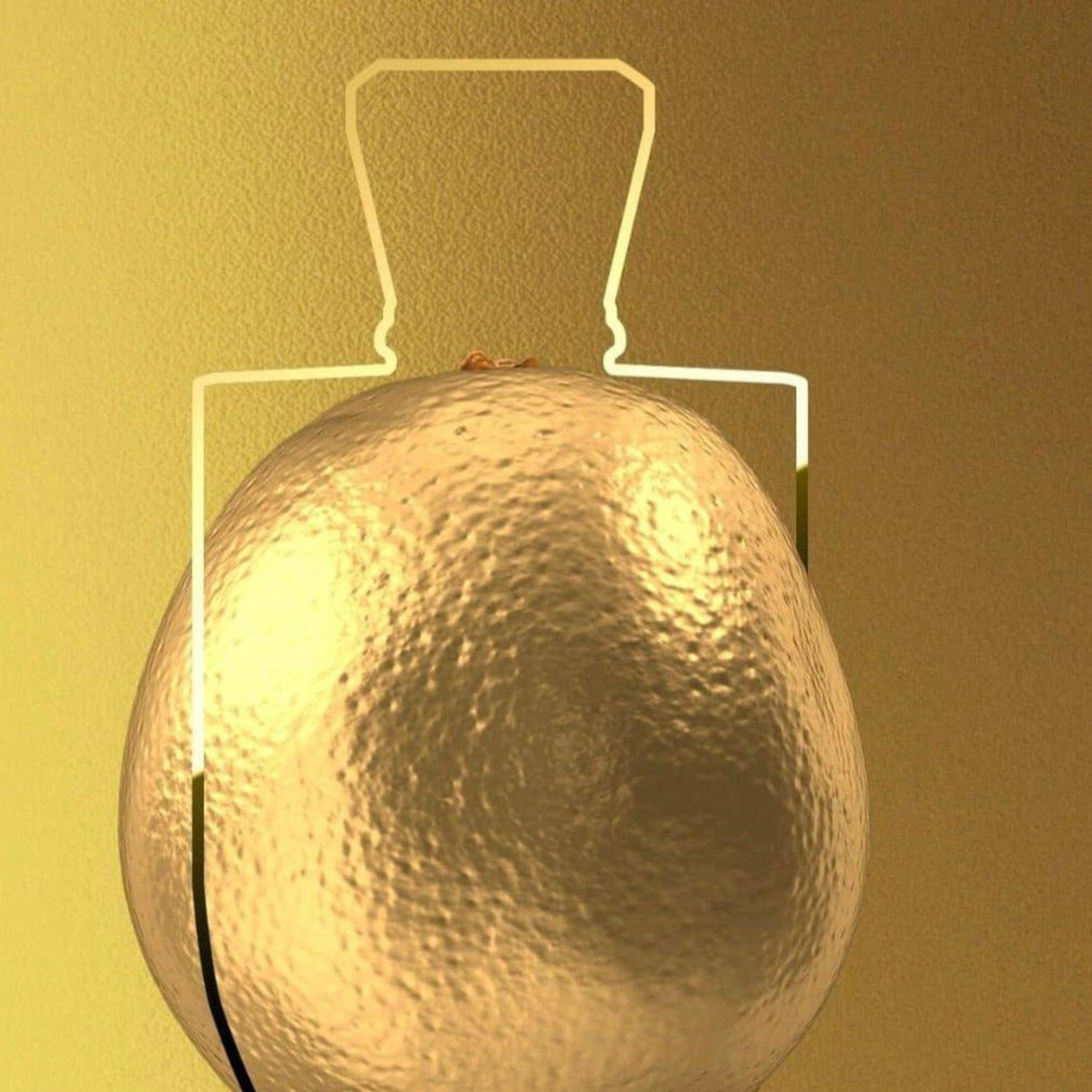 ZEN´GI