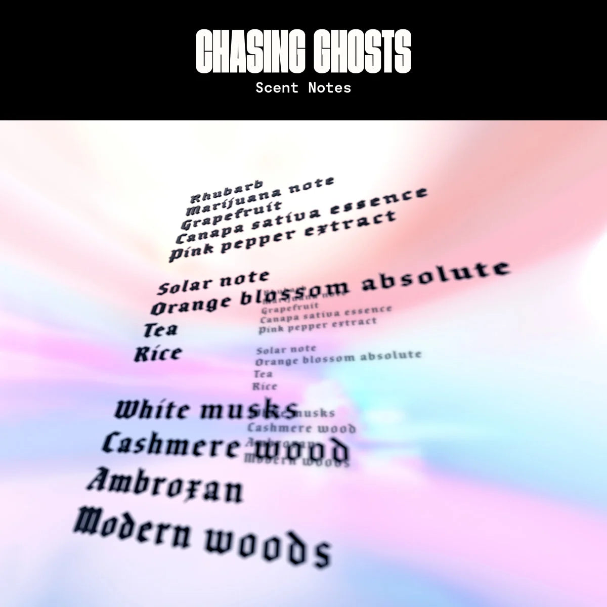 CHASING GHOSTS