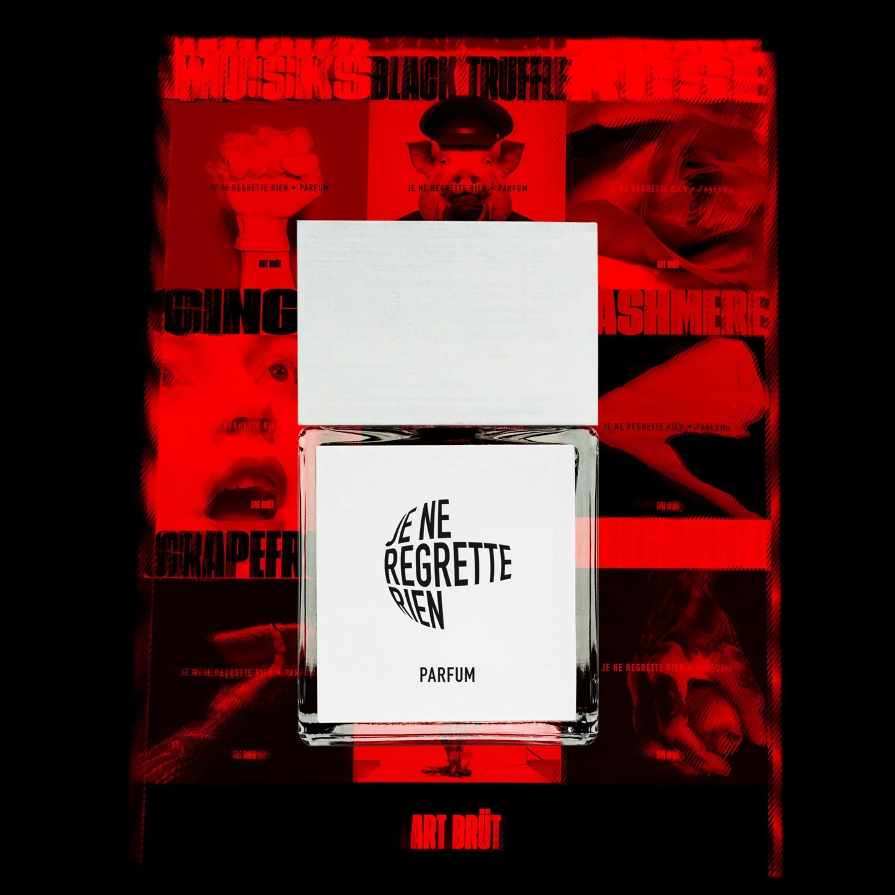 JE NE REGRETTE RIEN