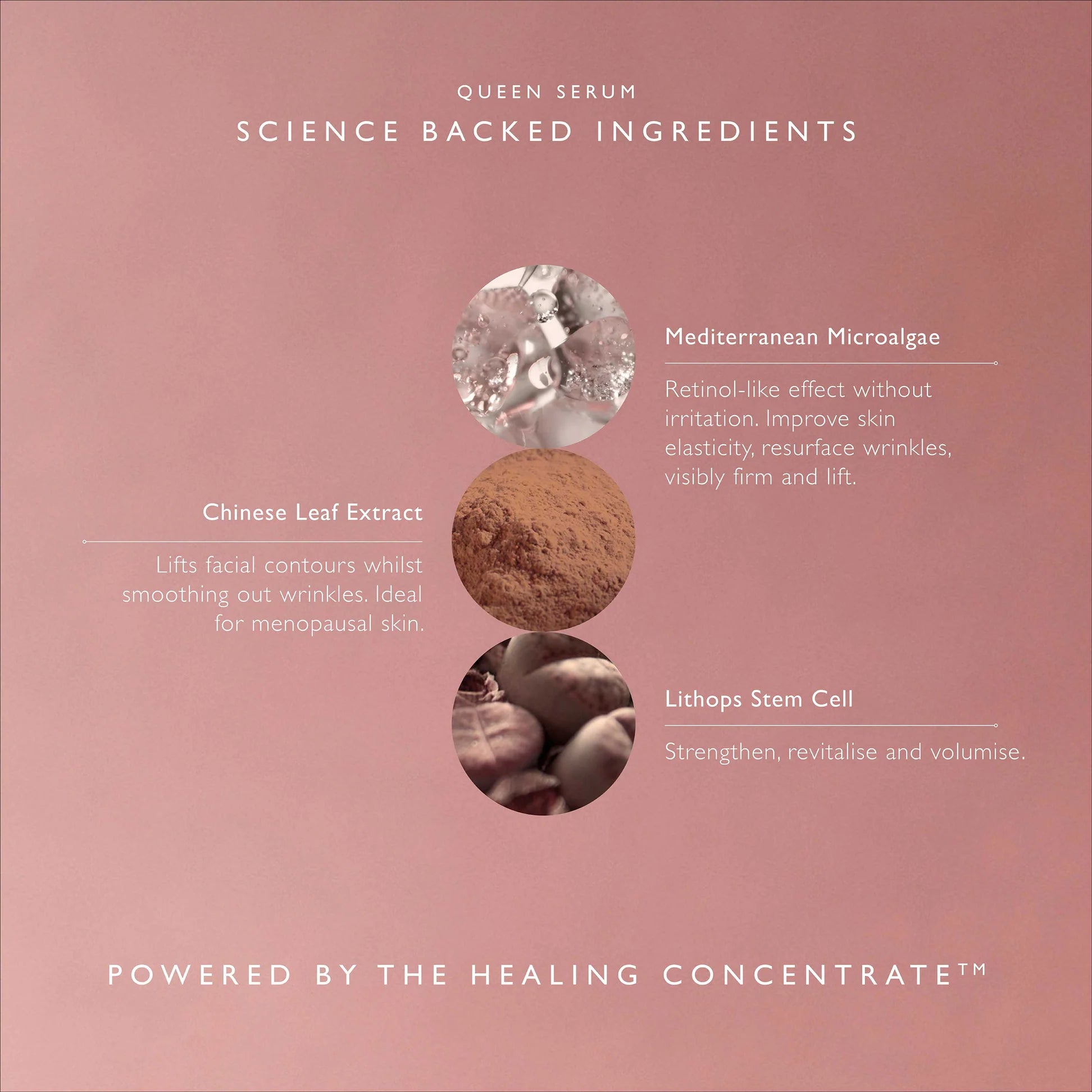 QUEEN SERUM