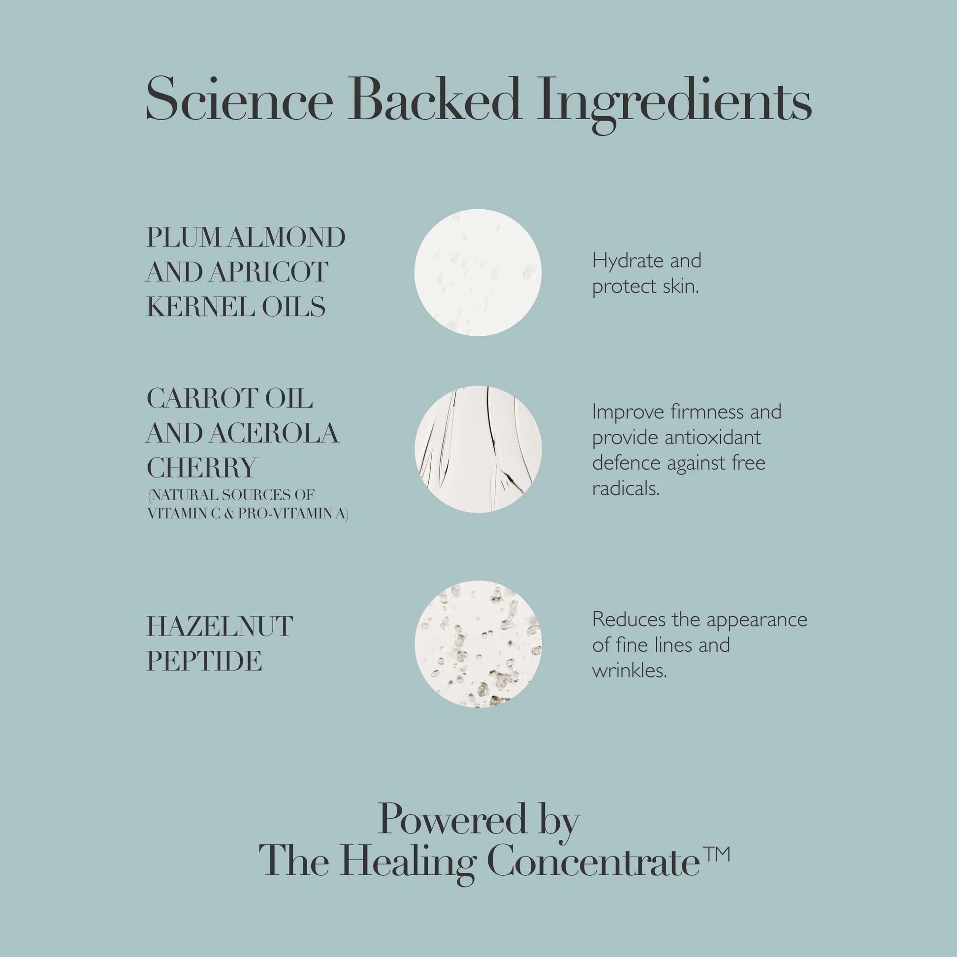 REJUVENATING NIGHT CREAM