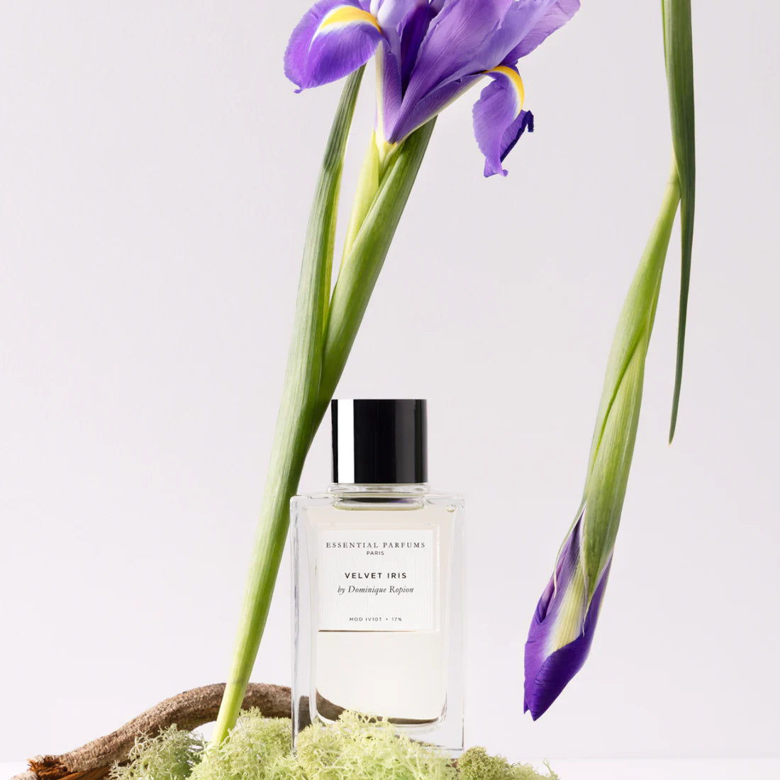 VELVET IRIS