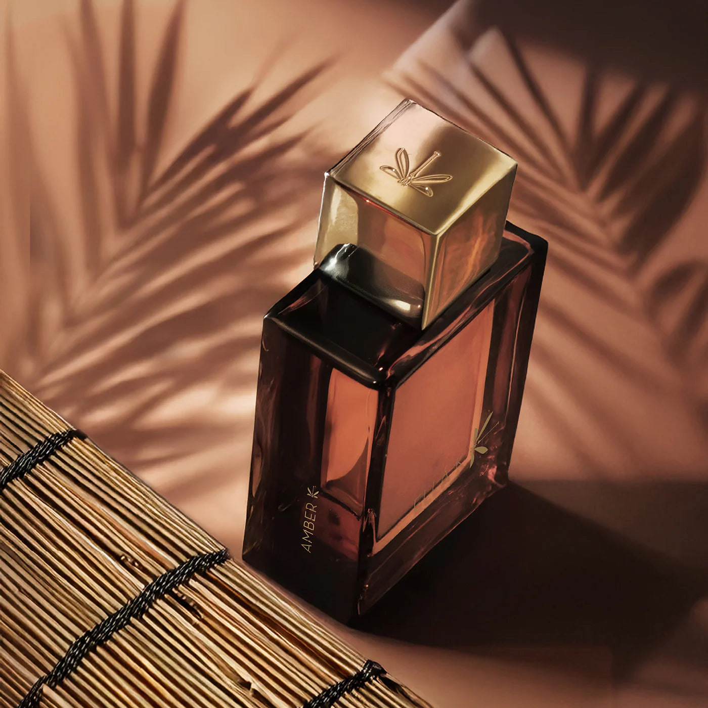 AMBRE K.