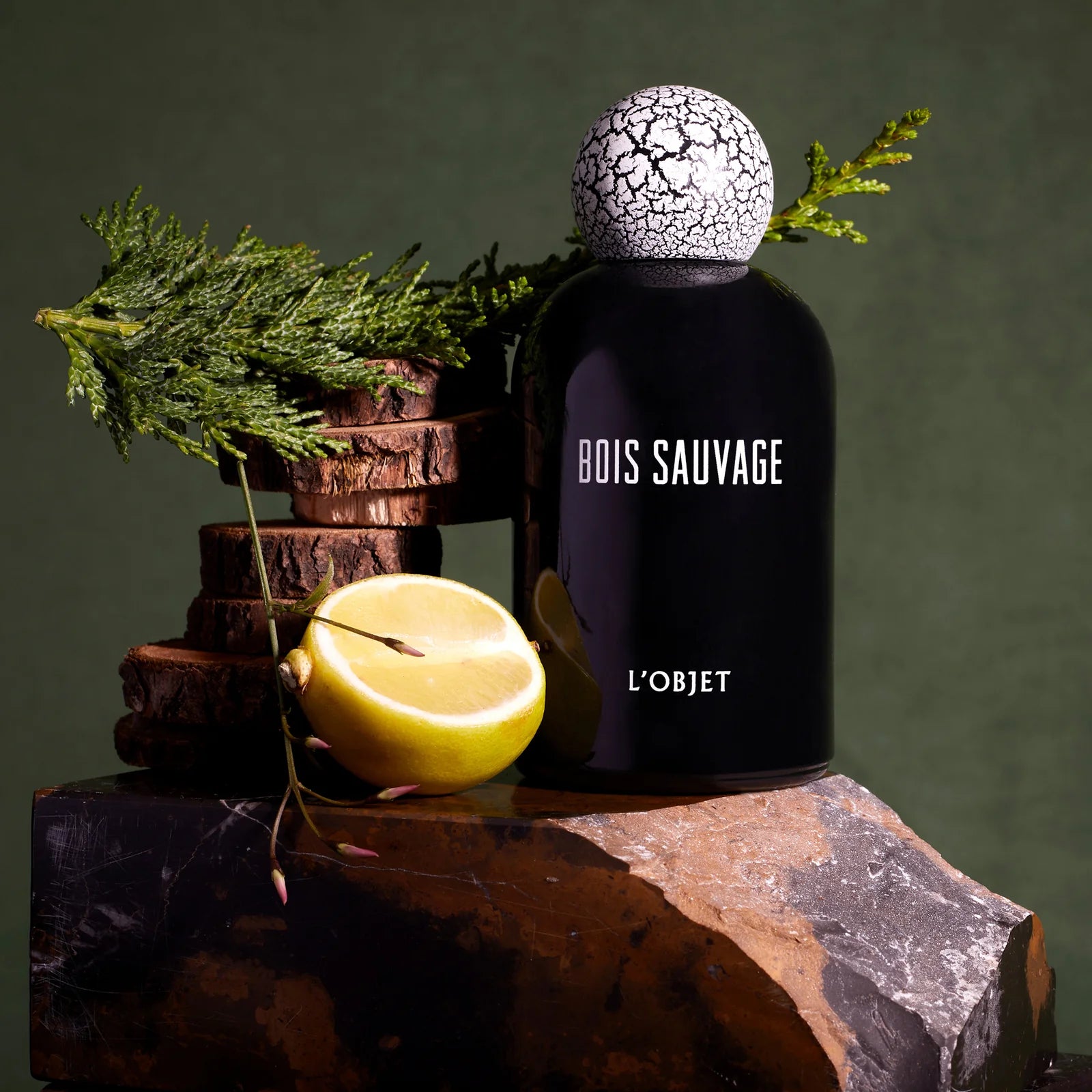 BOIS SAUVAGE