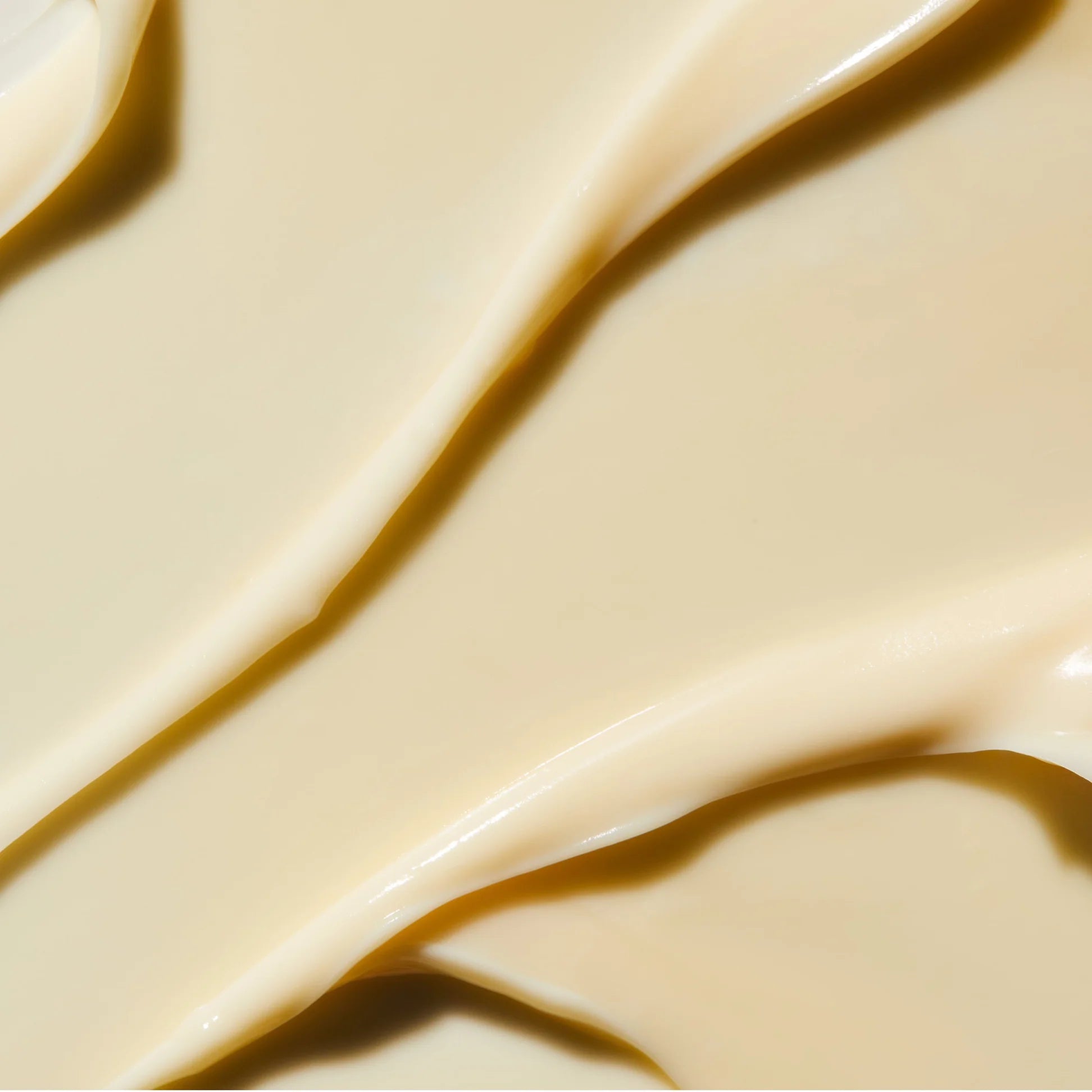 REJUVENATING NIGHT CREAM
