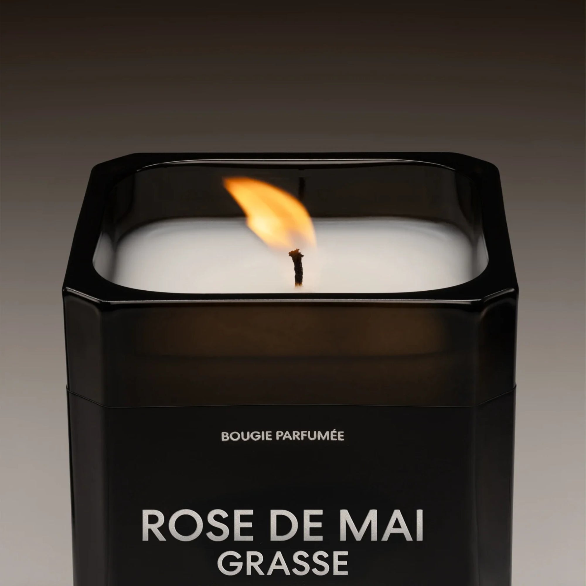 ROSE DE MAI - GRASSE